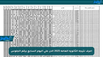 اعرف نتيجة الثانوية العامة 2025 الآن على اليوم السابع برقم الجلوس